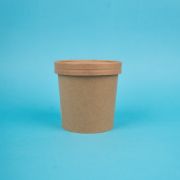 ДуЭко ECO SOUP 12C 25/250