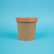 ДуЭко ECO SOUP 16C 25/250