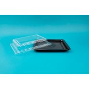 Контейнер ИПК-209 дно суши 1/300