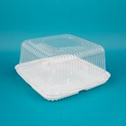 Контейнер РТ-170 ДВШ дно 1/200