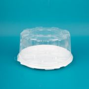 Контейнер РТ-193 ДВШ дно 1/150